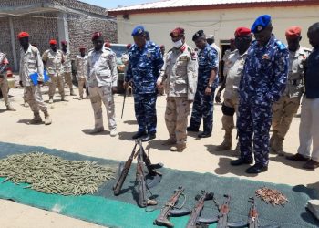 قوات الدعم السريع تضبط اسلحة وذخائر وكميات من المخدرات بولاية النيل الأزق