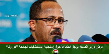 حركة مناوي تبلغ الوساطة الجنوبية بخروجها من الثورية