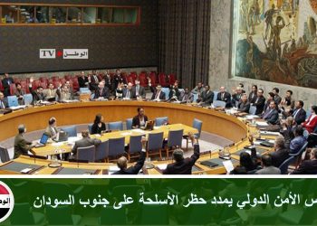 مجلس الأمن الدولي يمدد حظر الأسلحة على جنوب السودان