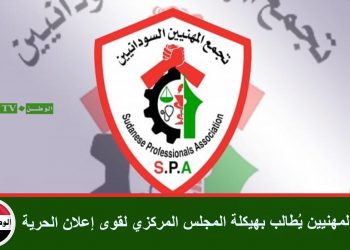 تجمع المهنيين يُطالب بهيكلة المجلس المركزي لقوى إعلان الحرية