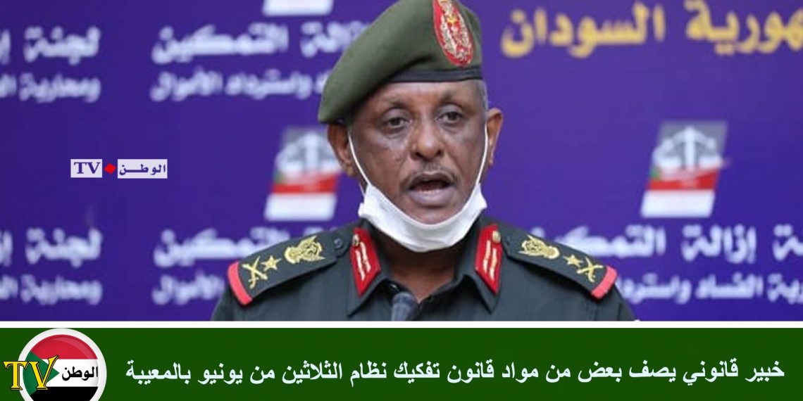 خبير قانوني يصف بعض من مواد قانون تفكيك نظام الثلاثين من يونيو بالمعيبة