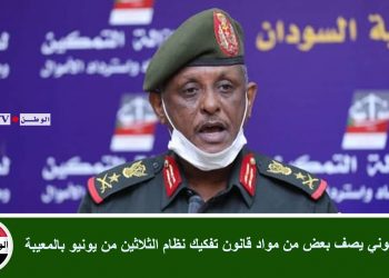 خبير قانوني يصف بعض من مواد قانون تفكيك نظام الثلاثين من يونيو بالمعيبة