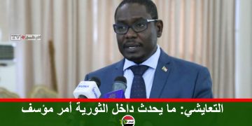 حركة مناوي تبلغ الوساطة الجنوبية بخروجها من الثورية