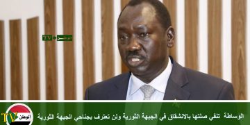 وساطة جنوب السودان تنفي صلتها بالانشقاق في الجبهة الثورية ولن تعترف بجناحي الجبهة الثورية