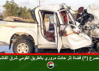 حركة مناوي تبلغ الوساطة الجنوبية بخروجها من الثورية