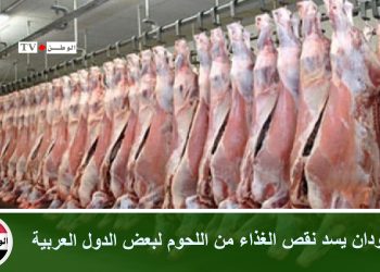 السودان يسد نقص الغذاء من اللحوم لبعض الدول العربية