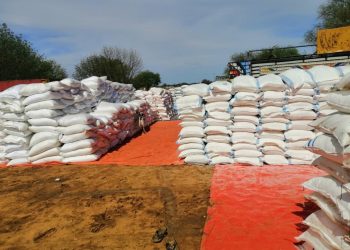 قوات الدعم السريع تضبط سلع إستراتيجية مهربة بغرب كردفان