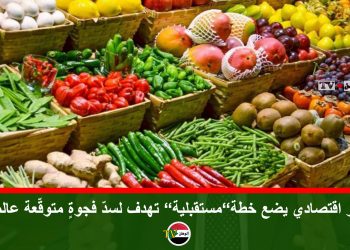 خبير اقتصادي يضع خطة”مستقبلية” تهدف لسدّ فجوةٍ متوقّعة عالميًا