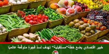 خبير اقتصادي يضع خطة”مستقبلية” تهدف لسدّ فجوةٍ متوقّعة عالميًا