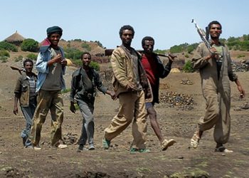 لمليشيات الإثيوبية تجدد هجومها على القرى السودانية وإصابة مواطن وإثنين من الجنود بالقوات المسلحة