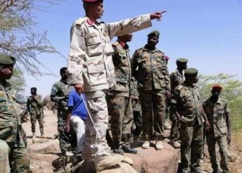 الجيش والدعم السريع يعيدوا السيطرة على مناطق بغرب جبل مرة