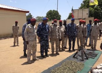 اشادة واسعة بانجازات قوات الدعم السريع بالنيل الازرق