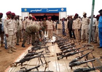 والي جنوب دارفور يوجه الدعم السريع بالقبض على مروجي الخرشة