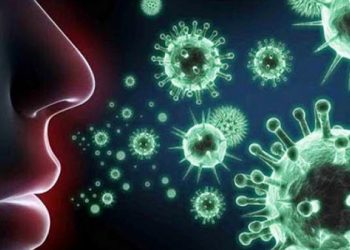 هل الشخص الذي شُفي من فيروس كورونا يمكنه نقل العدوى؟