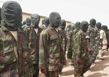 هيئة محامي دارفور تبرّئ الدعم السريع وتتهم قوات للحركة الإسلامية بفض الاعتصام