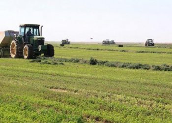 اختفاء”10″ ألف جالون جازولين خاصة بمشروع الجزيرة