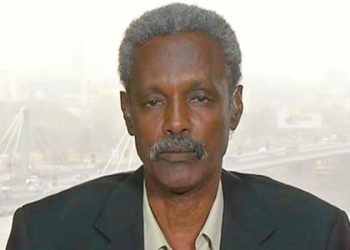 قيادي بالحزب الشيوعي لوزير المالية : البرقص ما بغطي دقنو