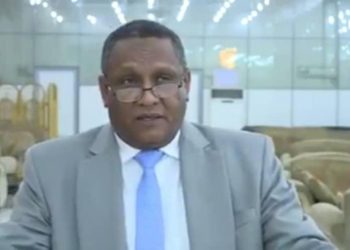 أبوهاجة : معلومات الفيديو المنسوب للجزولى عارية من الصحة