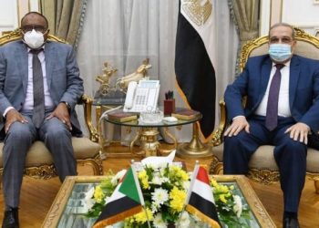 مدير منظومة الصناعات الدفاعية يزور مصر