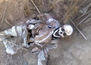 القبض على المتهم بقتل سودانية بمصر بعد خنقها وترك جثتها حتى التعفن