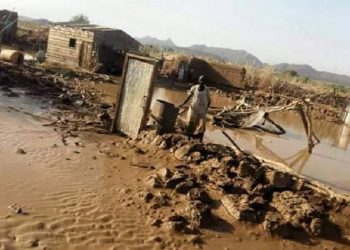 انهيار 174 منزلا بقرية قوز عوض الله والاهالي يستغيثون بمجلس الوزراء والعشراء تعرضوا للسعات الثعابين