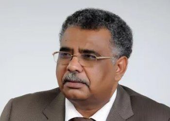 محمد عصمت : عدم استجابة الحكومة لمطالب الشعب وصمة عار للثورة