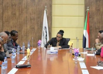 المالية تشرع في تنفيذ متطلبات السلام الاقتصادية