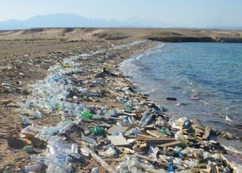 نذُر كارثة بيئية بابي سعد مربع 2 ج بسبب الفيضان