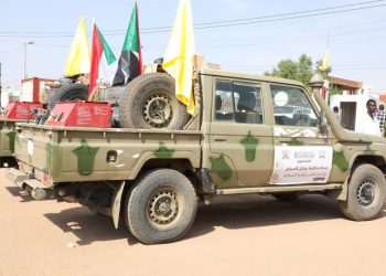 الدعم السريع تطلق حملة جديدة لمكافحة نواقل الأمراض والدعم الطبي للولاية الشمالية