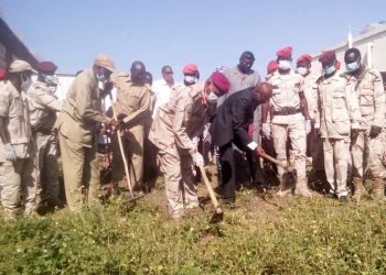 والي النيل الأزرق يثمن مبادرة الدعم السريع وجهود الشباب