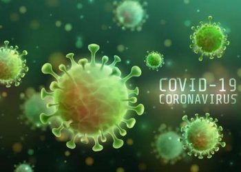 ارتفاع العدد الكلي إلى “13804”حالة واتهامات تواجه الحكومة