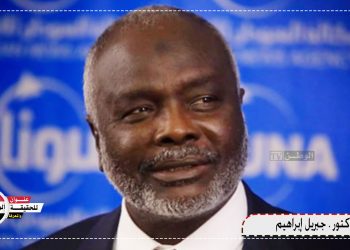 جبريل إبراهيم : ليس المطلوب جهاز واحد للتفكيك يكون هو الخصم والحكم معاً