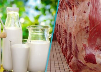 بأمر الغلاء .. اللحوم والألبان .. سلع لا يمكن الوصول إليها.