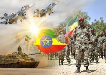 الجيش الإثيوبي : السيطرة على عاصمة تيجراي خلال الأيام المقبلة