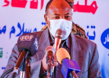 والي جنوب دارفور : ما كان للثورة أن تنجح لولا انحياز الدعم السريع