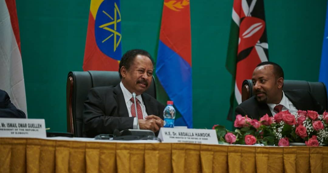 حمدوك : الجراد الصحراوي لا يزال يُشكل تهديداً لدول (الإيقاد)