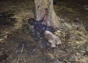 جريمة بشعة بالقضارف : إغتصاب طفلة وقتل شقيقها حرقاً