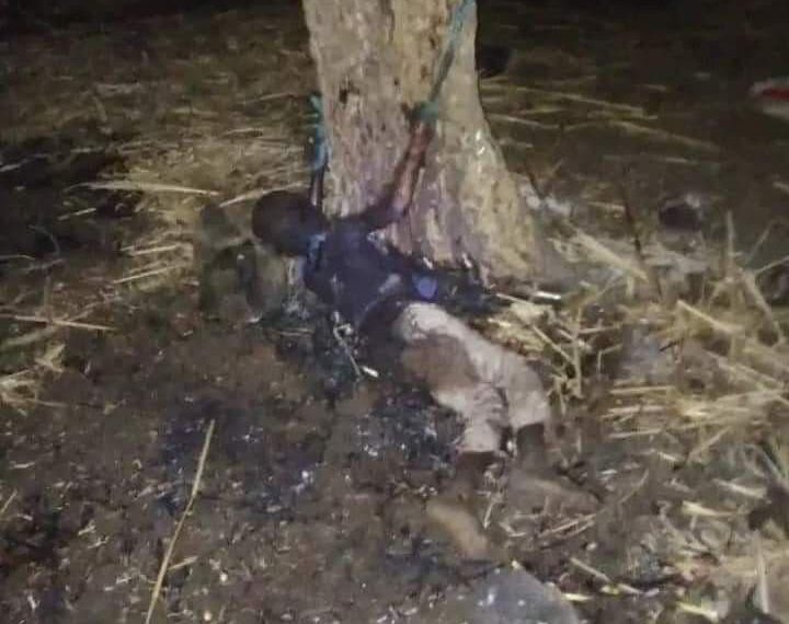 جريمة بشعة بالقضارف : إغتصاب طفلة وقتل شقيقها حرقاً