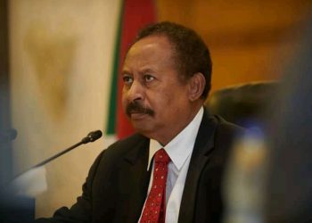 مجلس الوزراء : قواتنا المسلحة قادرة على الرد ونؤكد دعمنا لها