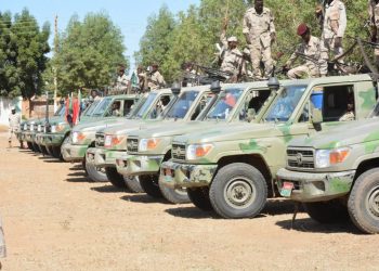 حسمت ملف الهجرة غير الشرعية والحدود ..الدعم السريع عين السودان اليقظة.!