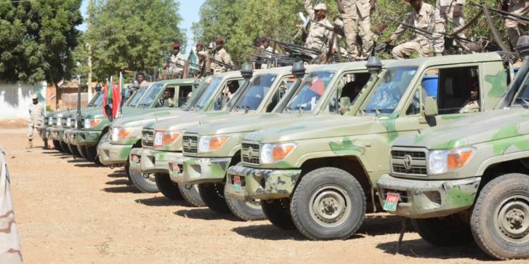 حسمت ملف الهجرة غير الشرعية والحدود ..الدعم السريع عين السودان اليقظة.!