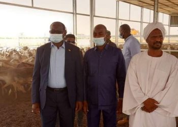 السودان : زيادة التغطية بالعلاج الوقائي للدرن حتى العام 2023