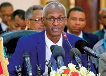 وزير الري:نأمل في استجابة مجلس الامن لطلبنا