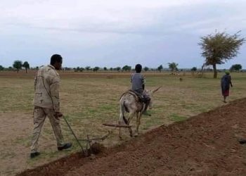 الدعم السريع لم تخيب ظن أهل دارفور