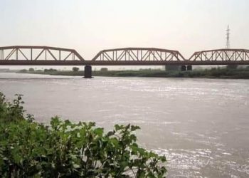 تماسيح وثعابين غريبة قاتلة تظهر لأول مرة بولاية الخرطوم