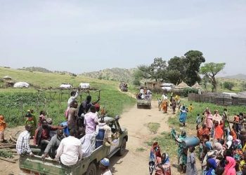 أكثر من 44 الف نازح يعودون إلي الجنينة وفقا لتقرير الهجرة الدولية