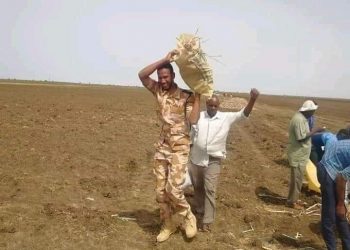 عسلاية تشهد نفرة حنبنيهو بواسطة المواطنين