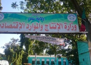 50 مليون دولار حصة ولاية سنار في مشروع السودان للإدارة المستدامة للموارد الطبيعية