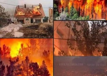 ?- مصرع 42 شخصا في حرائق غابات عنيفة تجتاح الجزائر :