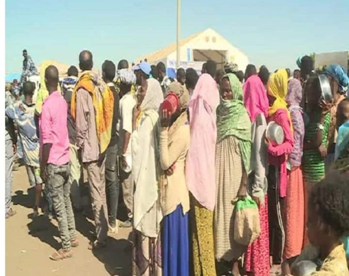 تفشي الكبد الوبائي و٨٠٠ إصابة بمعسكرات  اللاجئين بالقضارف